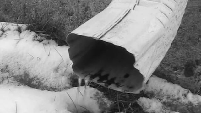 Spring смотреть онлайн