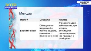 10-класс | Биология | Генетика человека и ее значение для медицины и здравоохранения