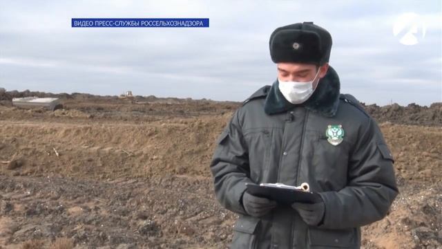 В Икрянинском районе земельный участок использовали не по назначению.mp4 смотреть онлайн