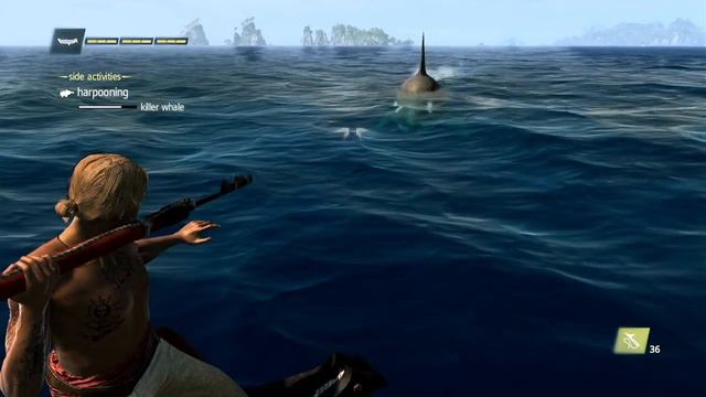 Killer Whale Harpoon Hunt - Assassin's Creed IV: Black Flag Gameplay смотреть онлайн