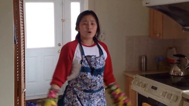 SLC Elections 2015 - Alissa Zhang - VPAC Co-President Candidate смотреть онлайн