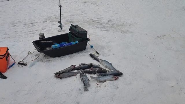 Рыбалка в Красногорске, Основной водоём смотреть онлайн