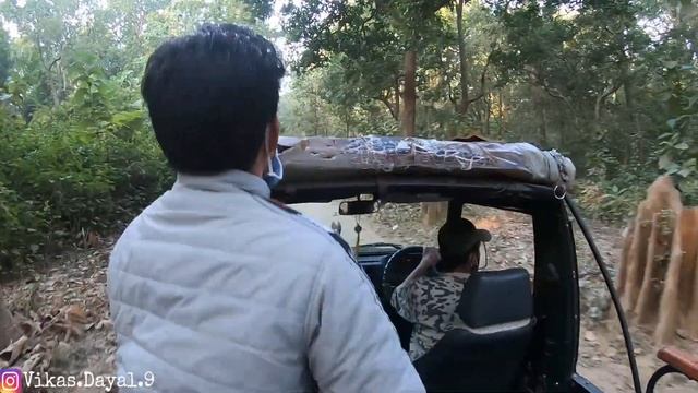 EP 4 : What's Inside This Jungle | Jim Corbett National Park : Rooftop Camping смотреть онлайн