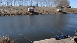 Ловля карпа весной по холодной воде в апреле / Рыбалка на карпа ранней весной 2 апреля 2019