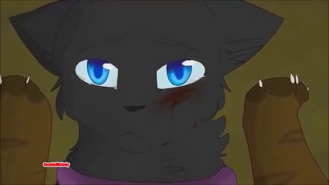 Мне мало мало мало мне мало мало мало тебя песня клип коты воители смотреть онлайн