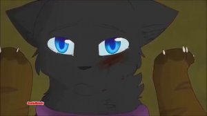 Мне мало мало мало мне мало мало мало тебя песня клип коты воители