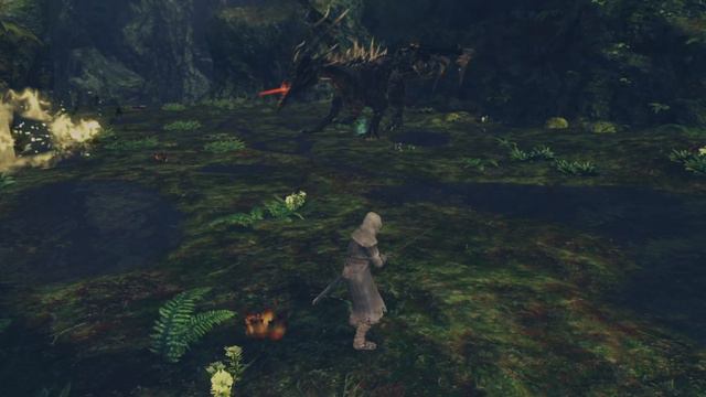 Dark Souls- Black Dragon Kalameet no hit (melee only, no shield, no hud) смотреть онлайн