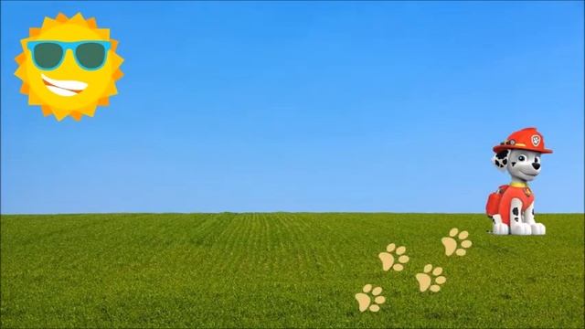 Musicograma Patrulla Canina Infantil | PAW Patrol {Rhythm Play Along KIDS} ? смотреть онлайн