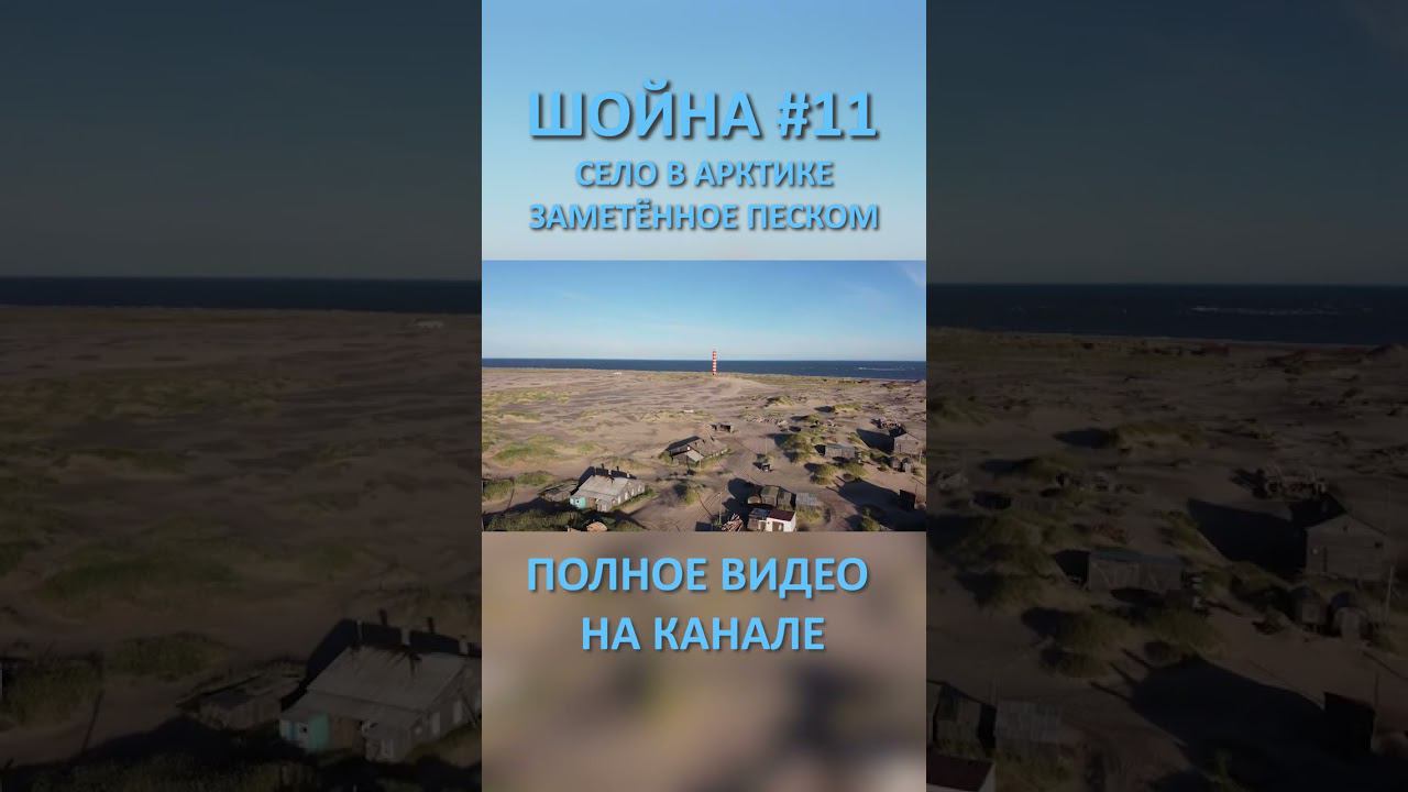 ШОЙНА SHOYNA 11 SHORTS #SHORTS смотреть онлайн