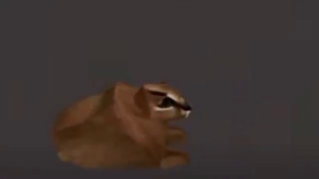 horizontally spinning caracal смотреть онлайн