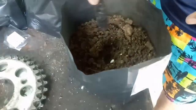 Basic Planting 101 // Tagalog // V2 | FAJ Curan Vlogs смотреть онлайн