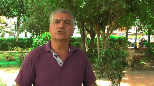 Cuidados y poda PARA EL MIRTO [2020] 🌿 смотреть онлайн