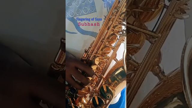 Fingering of Saxophone by Subhash Krishnan смотреть онлайн
