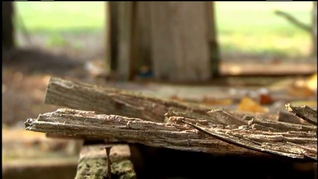 Henry River Mill Village - North Carolina смотреть онлайн