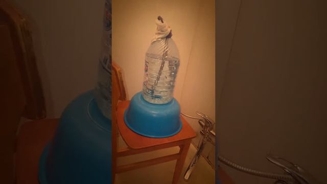 Что делать если отключили воду? смотреть онлайн