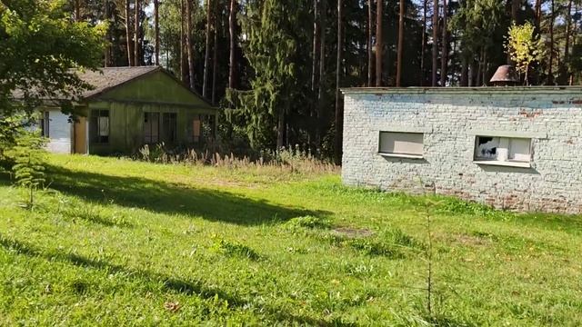 Детский спортивный лагерь "Соколья Гора" смотреть онлайн