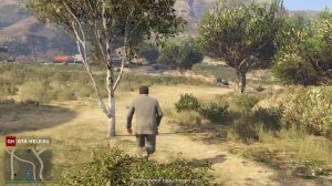 Погоня за истиной (Золотая медаль) — GTA 5