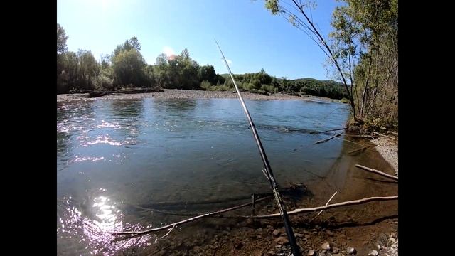 Хариус Р Чёрный Июс 20 08 2020г смотреть онлайн