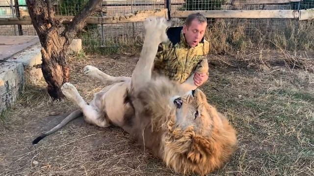 Действие ВОЛШЕБНОГО БОТИНКА на льва-вожака ))) смотреть онлайн