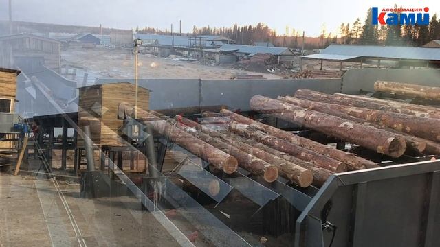 Как работает линия сортировки бревен KRAFTER LLS на 24 кармана. Процесс на производстве смотреть онлайн