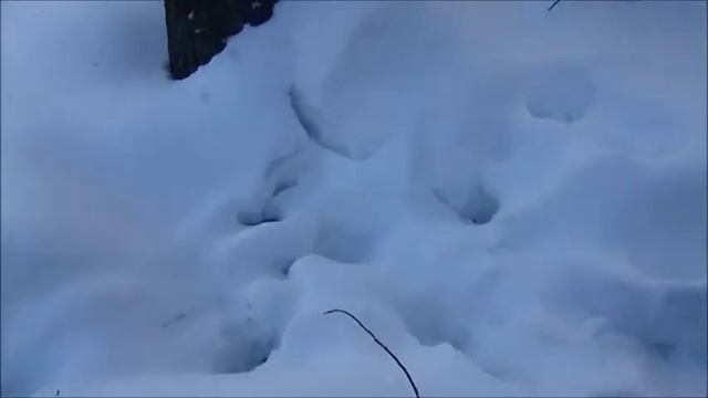 мототолкач декабрь 2016 смотреть онлайн