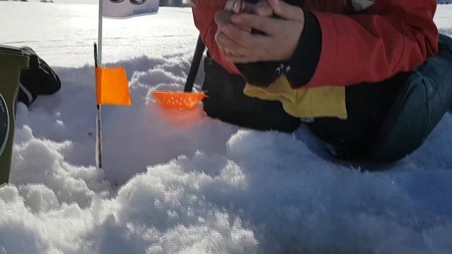 Весенняя мормышка 2018 смотреть онлайн