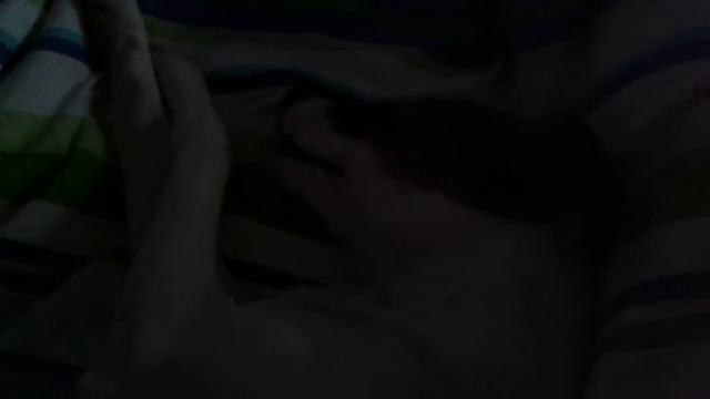 P/R Моя собака плачет во сне)))) смотреть онлайн