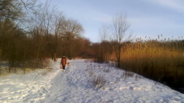 Красный Луч. Парк, пруд. 01.02.2018 смотреть онлайн