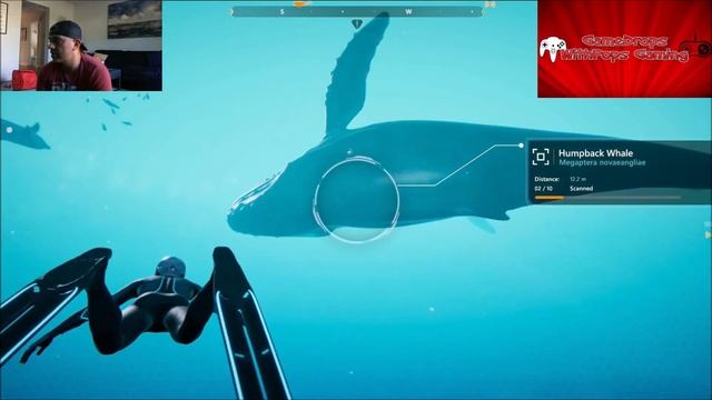 Lets Play Beyond Blue a Very Cool indie Underwater Adventure Science Game Pt 1 смотреть онлайн