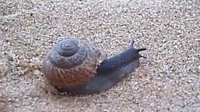 самое динамичное видео смотреть онлайн