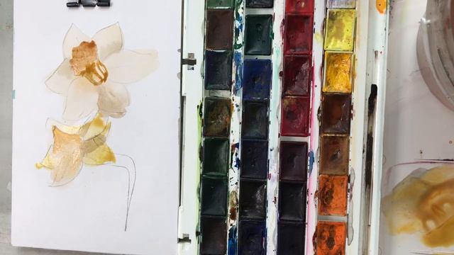 цветы нарцисс часть 1 смотреть онлайн