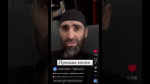 Стерилизовать и кастрировать кошек можно в исламе можно ✅