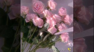 Душевный НАШИД...?✨