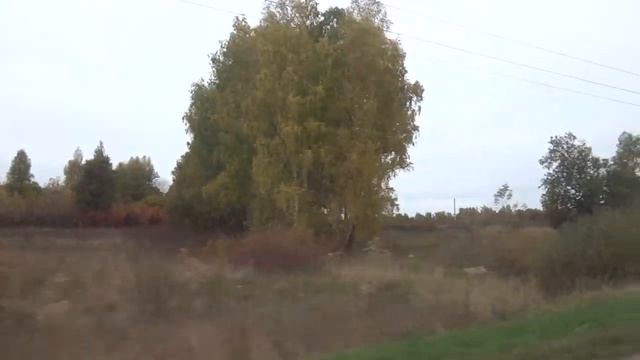Луховицы, автобус 52, участок Совхоз Зарайский - Саблино-2 смотреть онлайн