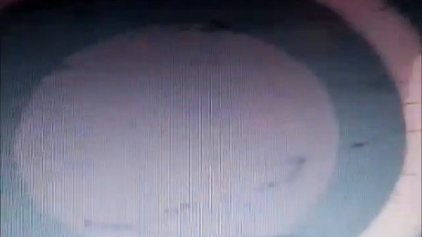 Wolf's Rain-Monster amv