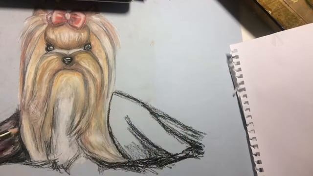 Часть 2. Пастель. Рисуем Йорка. Конец. Dog. 犬 смотреть онлайн