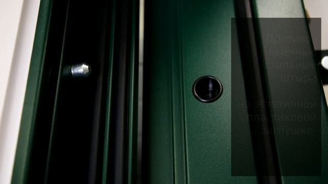 Входная дверь 