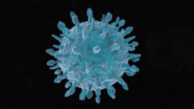 Невероятная польза лисичек смотреть онлайн