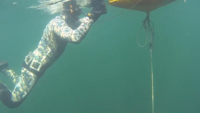 ?Правдивый отзыв подвоха про курсы фридайвинга ! смотреть онлайн