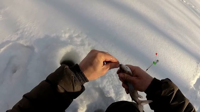 Рыбалка в Коми 2022. Весенняя рыбалка на хариуса. смотреть онлайн