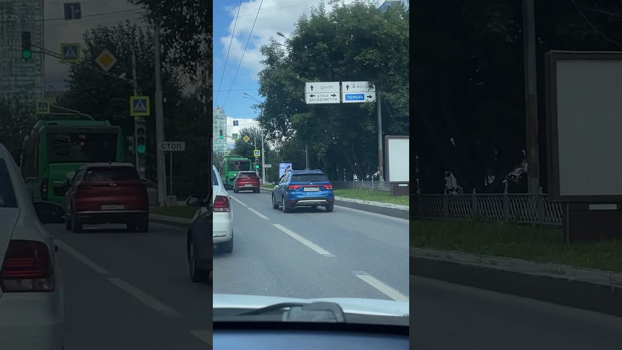 Куда едем #vlog #belka #live #shorts смотреть онлайн