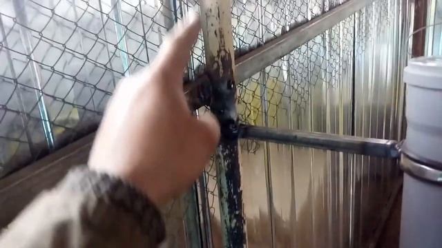Вольер для кроликов от А до Я (часть 10-я) смотреть онлайн