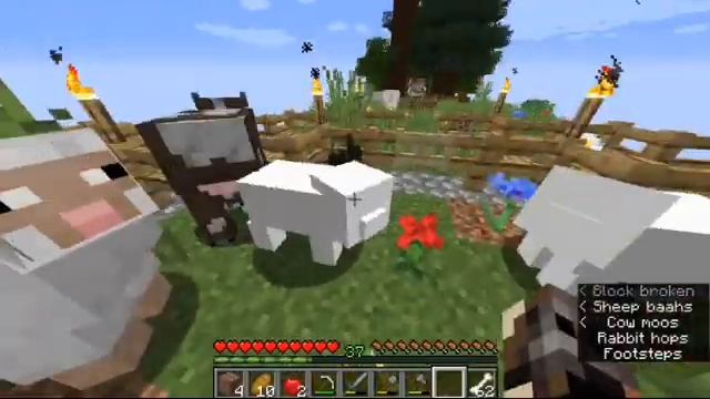 I Found Binod And Pinku kumar in One Block Minecraft But ..... (Gone Wrong) | Minecraft Java Editio смотреть онлайн