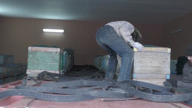 Вывоз пчел из омшаника по окончанию зимовки.Кочевая пасека Владимира Ивановича Истомина
