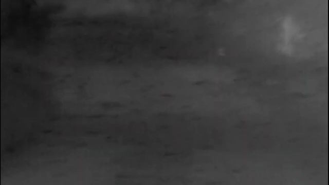 Fox Cub on Pulsar AXION XM30S Thermal Imaging Monocular смотреть онлайн