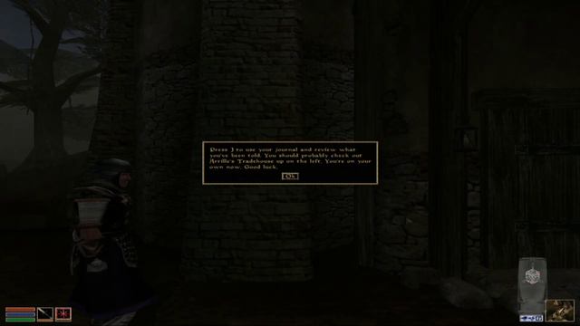 Morrowind E01 - Talk to Sellus Gravius смотреть онлайн