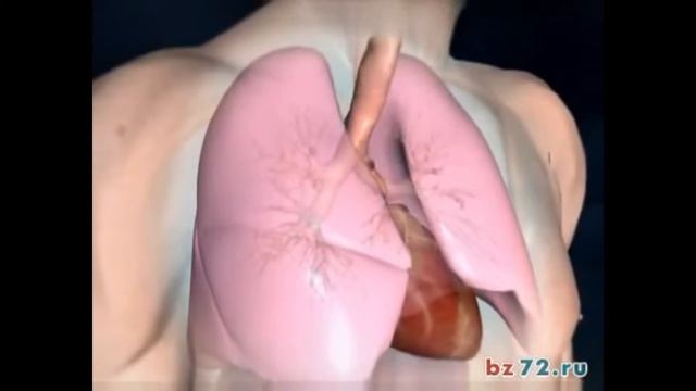 Астма признаки и лечение. смотреть онлайн