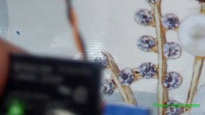 Модуль твердотельного реле G3MB-202P