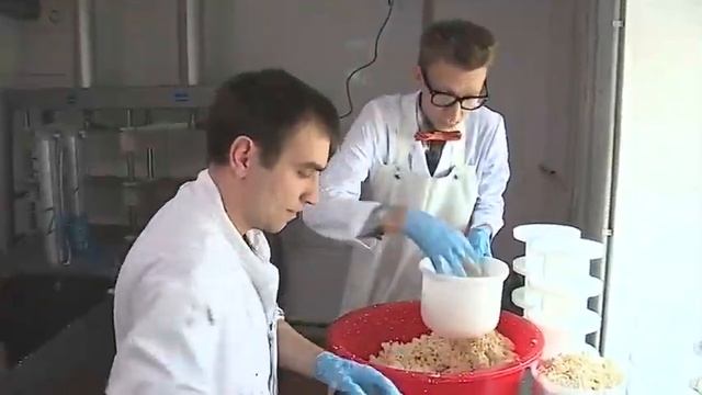 Слава Соломка узнал, как делают натуральный козий сыр. смотреть онлайн