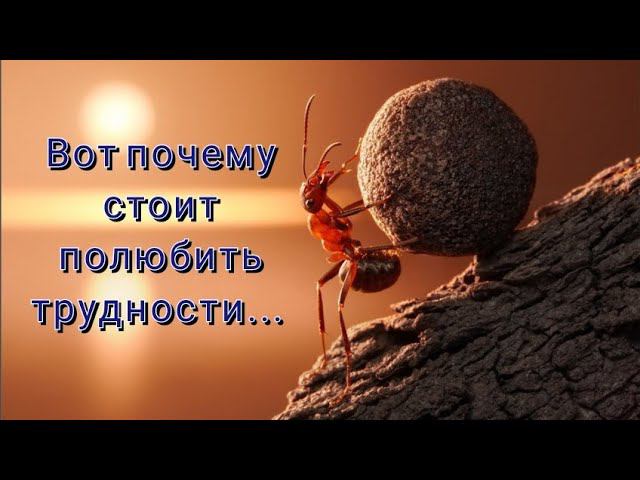 Комфорт ослабляет и отупляет человечество. И вот почему... смотреть онлайн